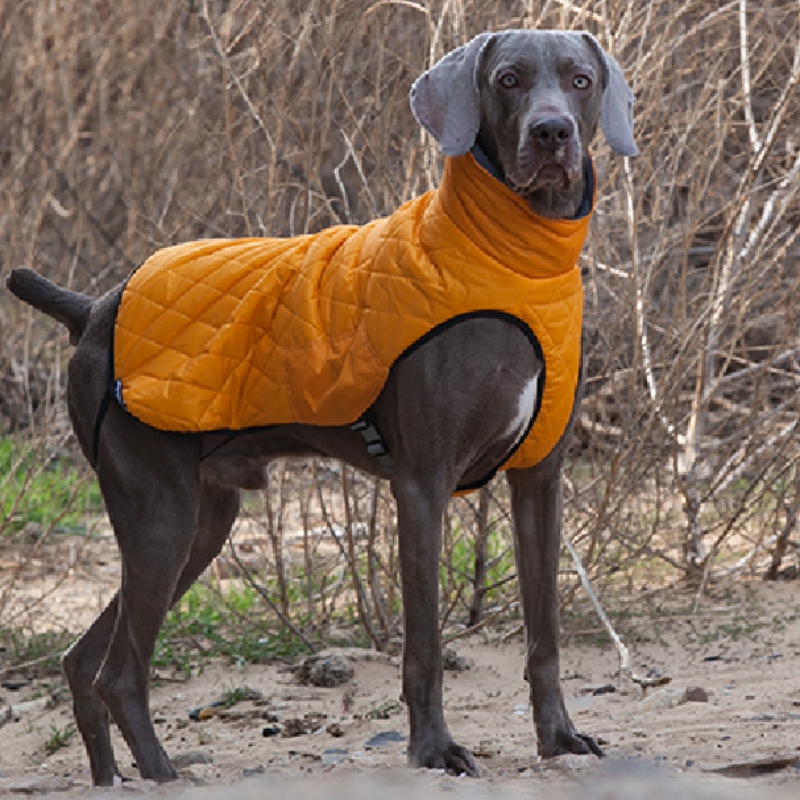 Amazon Гореща продажба Нов домашни дрехи Кучешки дрехи Есен и зима удебелен еластичен пуловер Pet Sweater