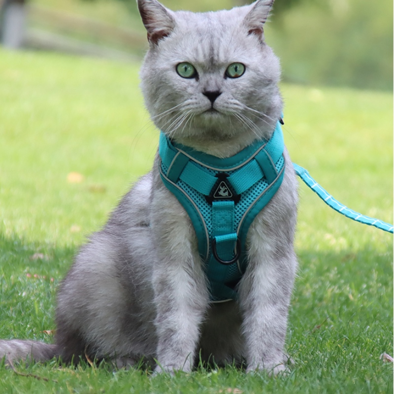 Мода домакинни жилетка тип теглещ гръдния ремък котка куче регулируемо прибиращо се теглително въже пешеходно куче въже яка